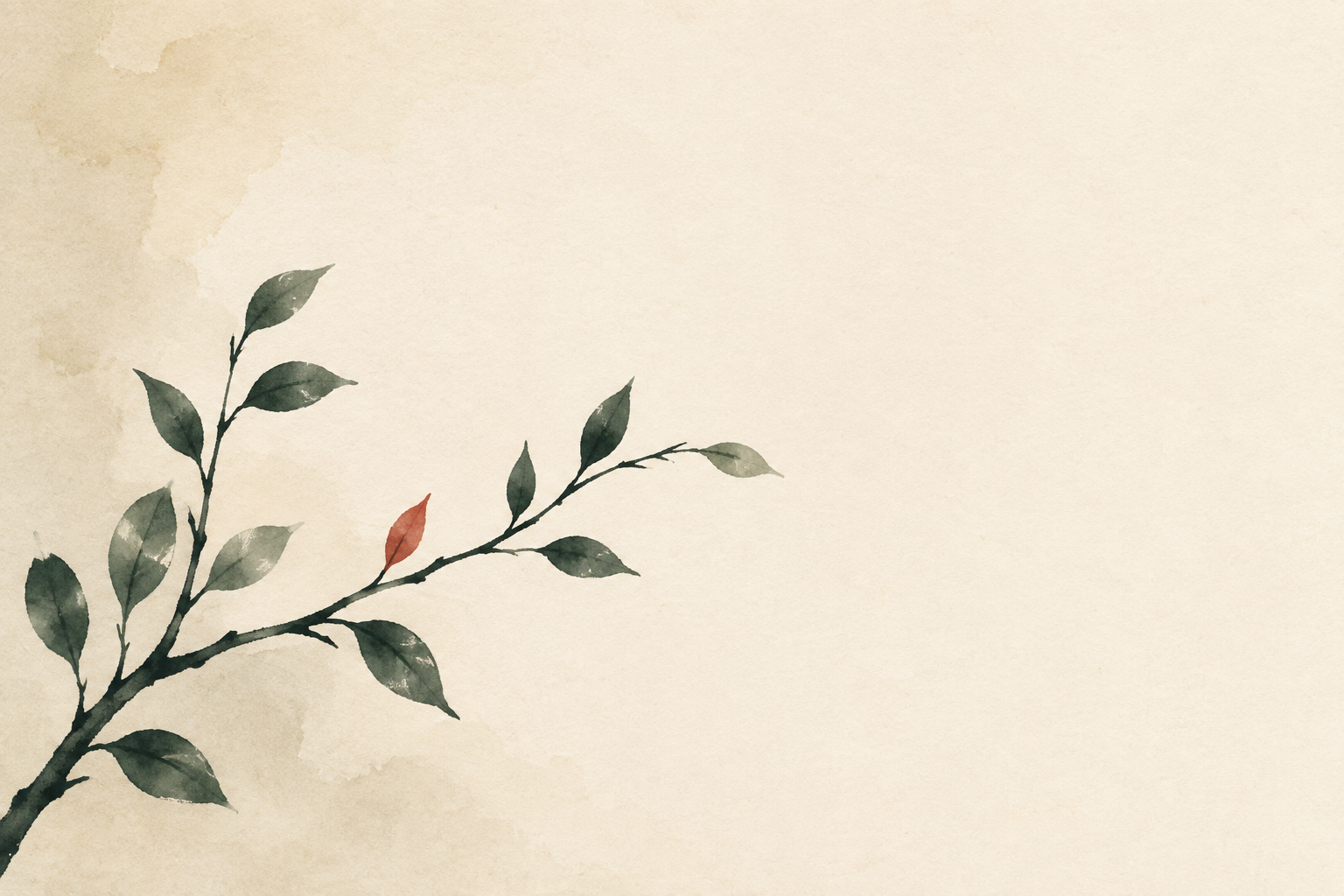 What Is an I Ching Reading? A Beginner’s Guide
